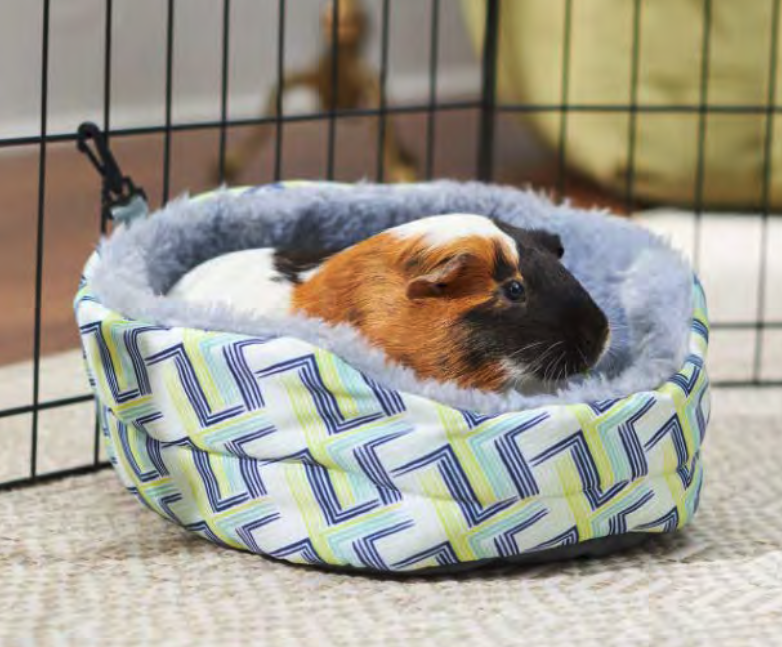 Screen Shot 2022-03-02 at 2.26.25 PM.png