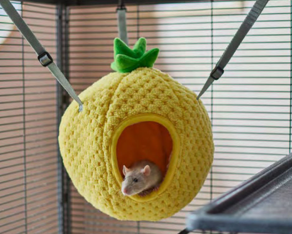 Screen Shot 2022-03-02 at 2.26.49 PM.png