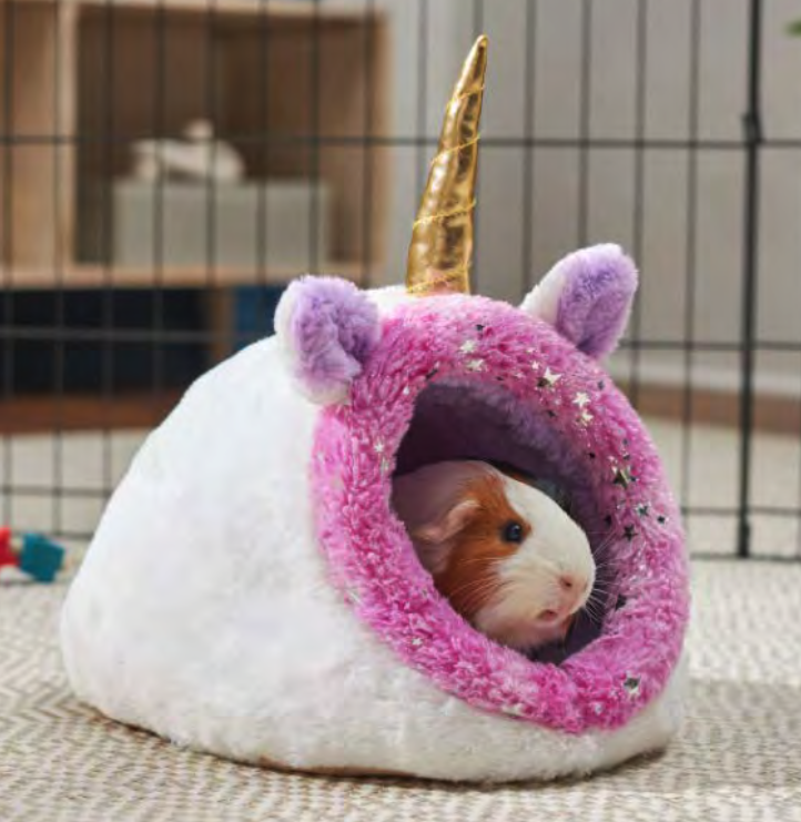 Screen Shot 2022-03-02 at 2.27.01 PM.png