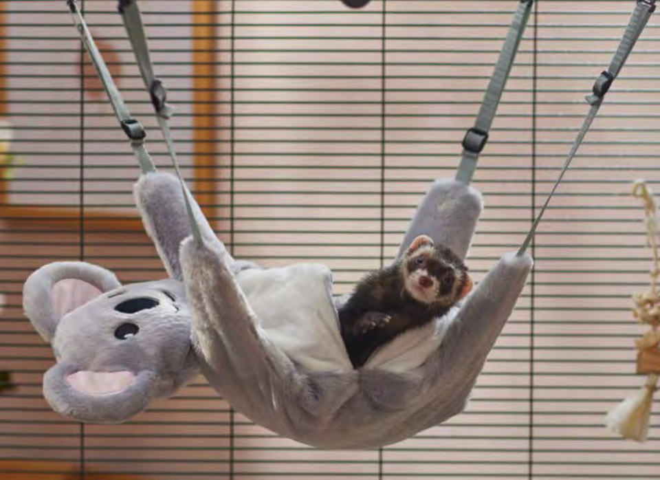 Screen Shot 2022-03-02 at 2.27.07 PM.png