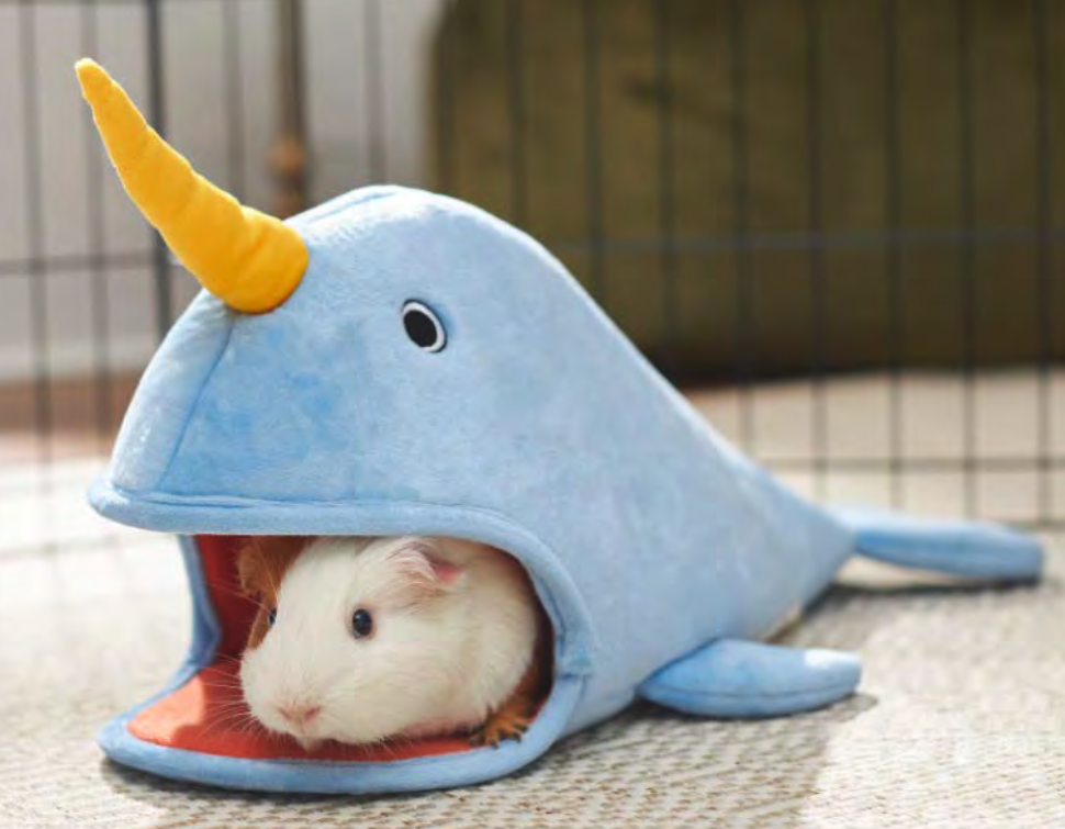 Screen Shot 2022-03-02 at 2.27.14 PM.png