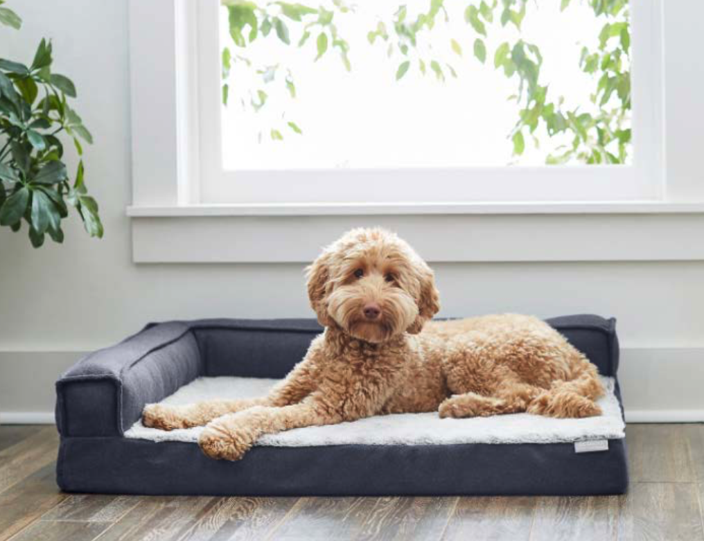 Screen Shot 2022-03-02 at 2.30.05 PM.png