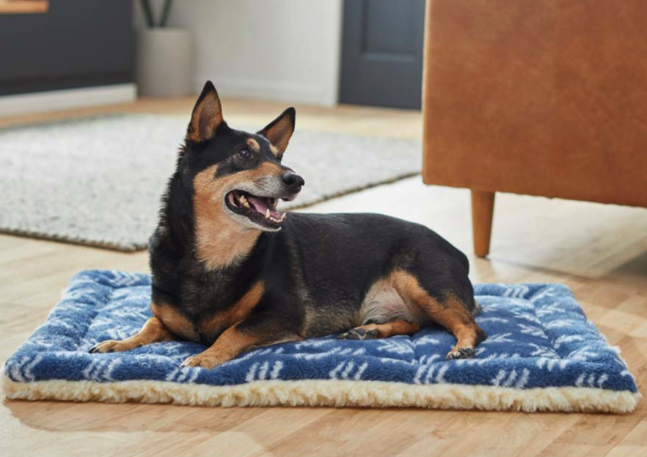 Screen Shot 2022-03-02 at 2.30.30 PM.png