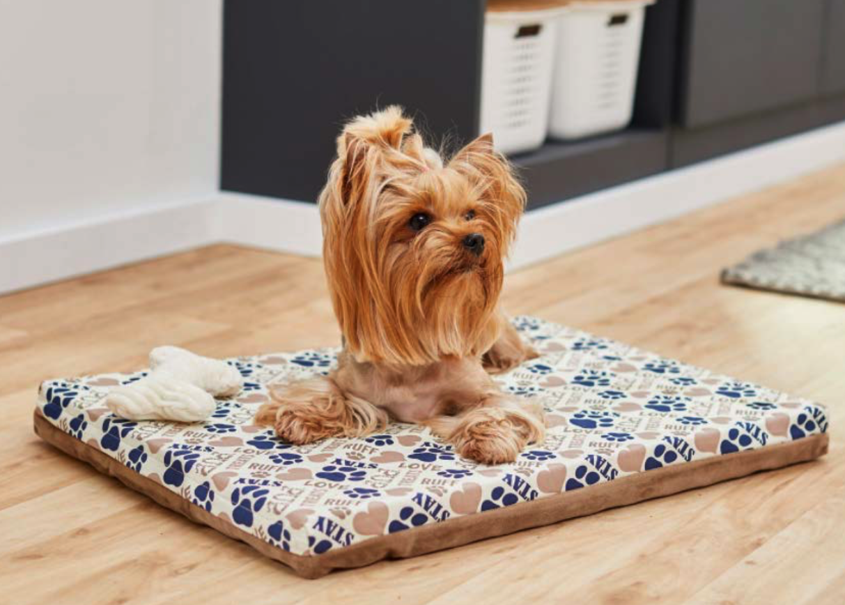 Screen Shot 2022-03-02 at 2.30.54 PM.png