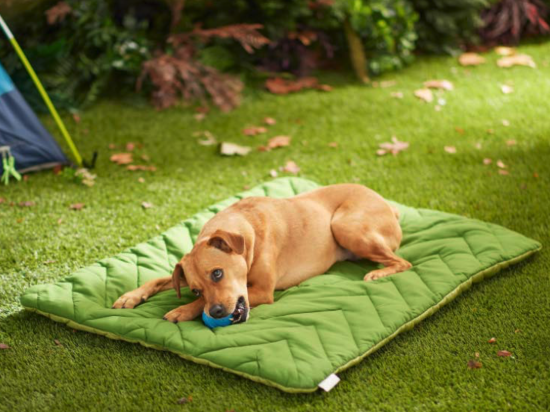 Screen Shot 2022-03-02 at 2.31.17 PM.png