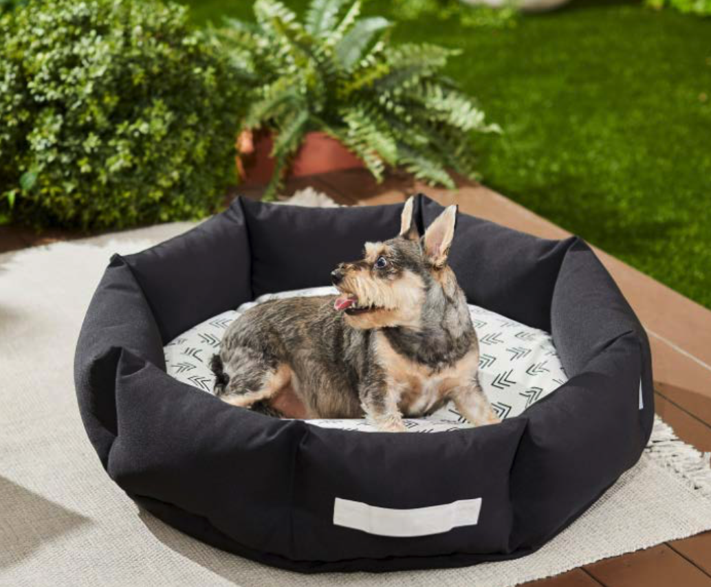 Screen Shot 2022-03-02 at 2.32.01 PM.png