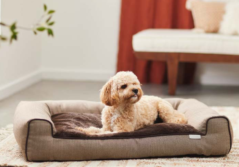 Screen Shot 2022-03-02 at 2.34.20 PM.png