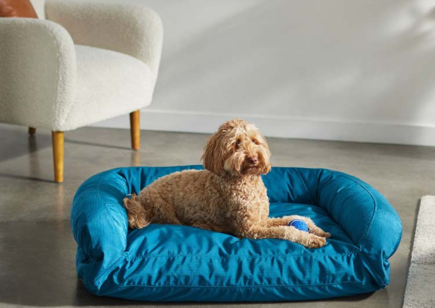 Screen Shot 2022-03-02 at 2.33.52 PM.png