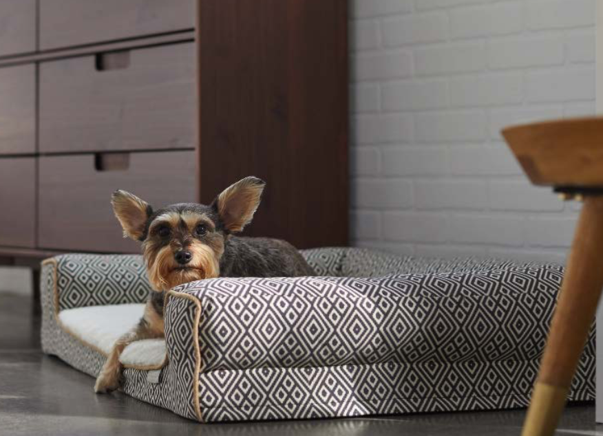 Screen Shot 2022-03-02 at 2.35.16 PM.png