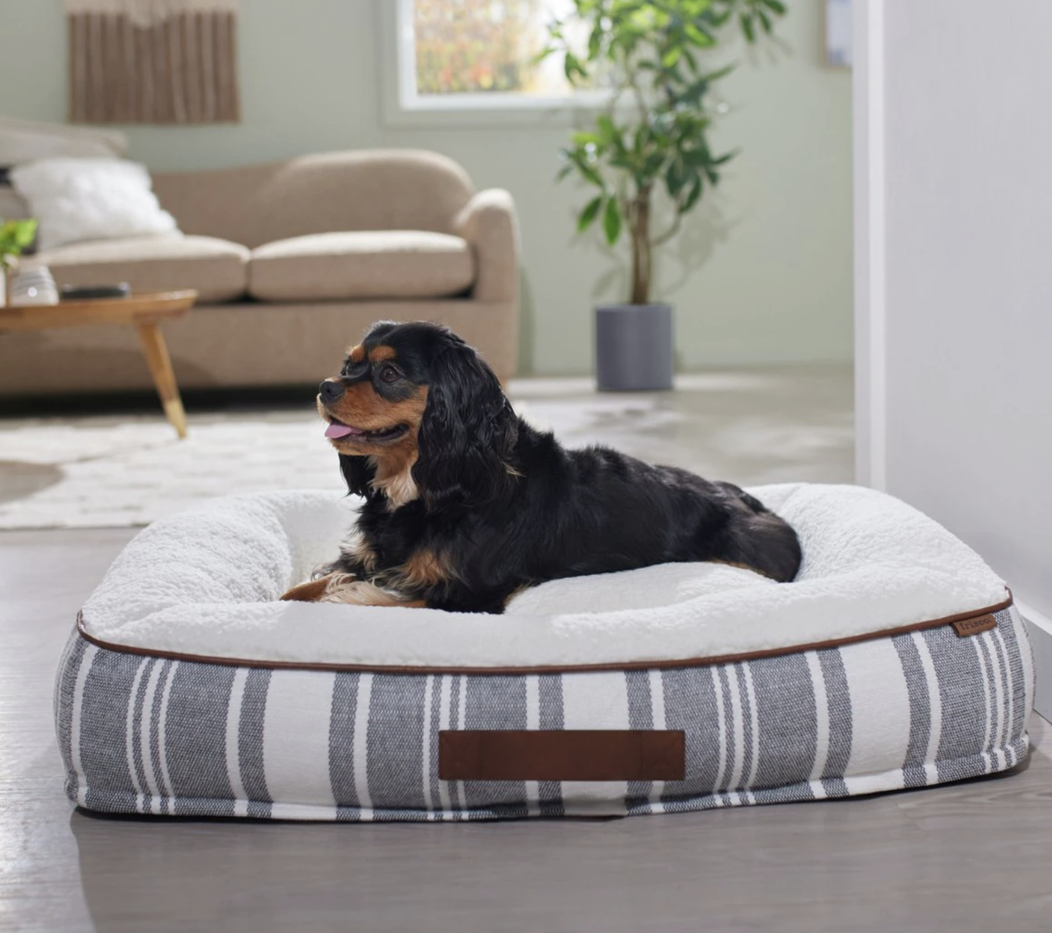 Screen Shot 2023-09-08 at 1.38.13 PM.png