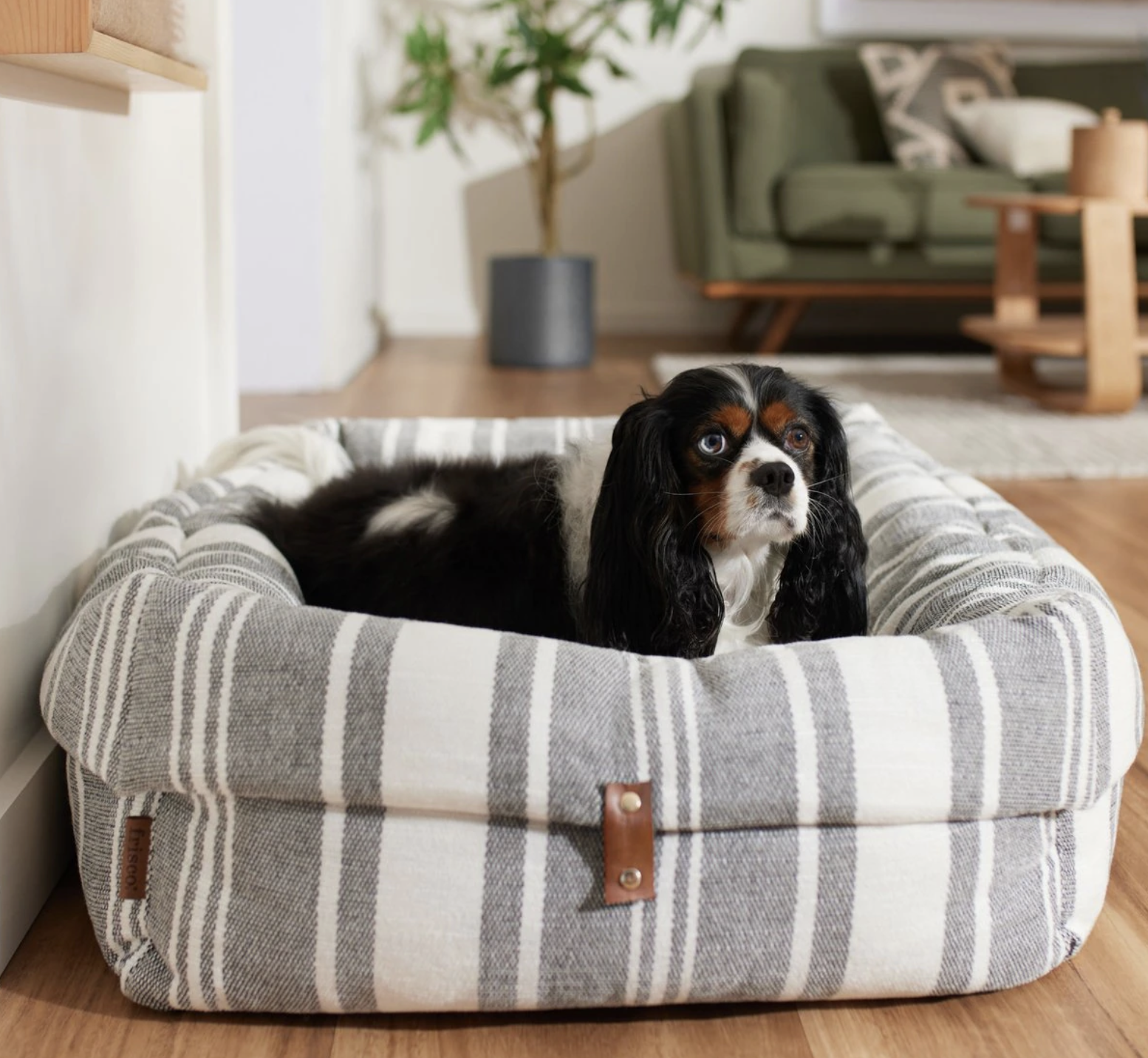 Screen Shot 2023-09-08 at 1.38.05 PM.png