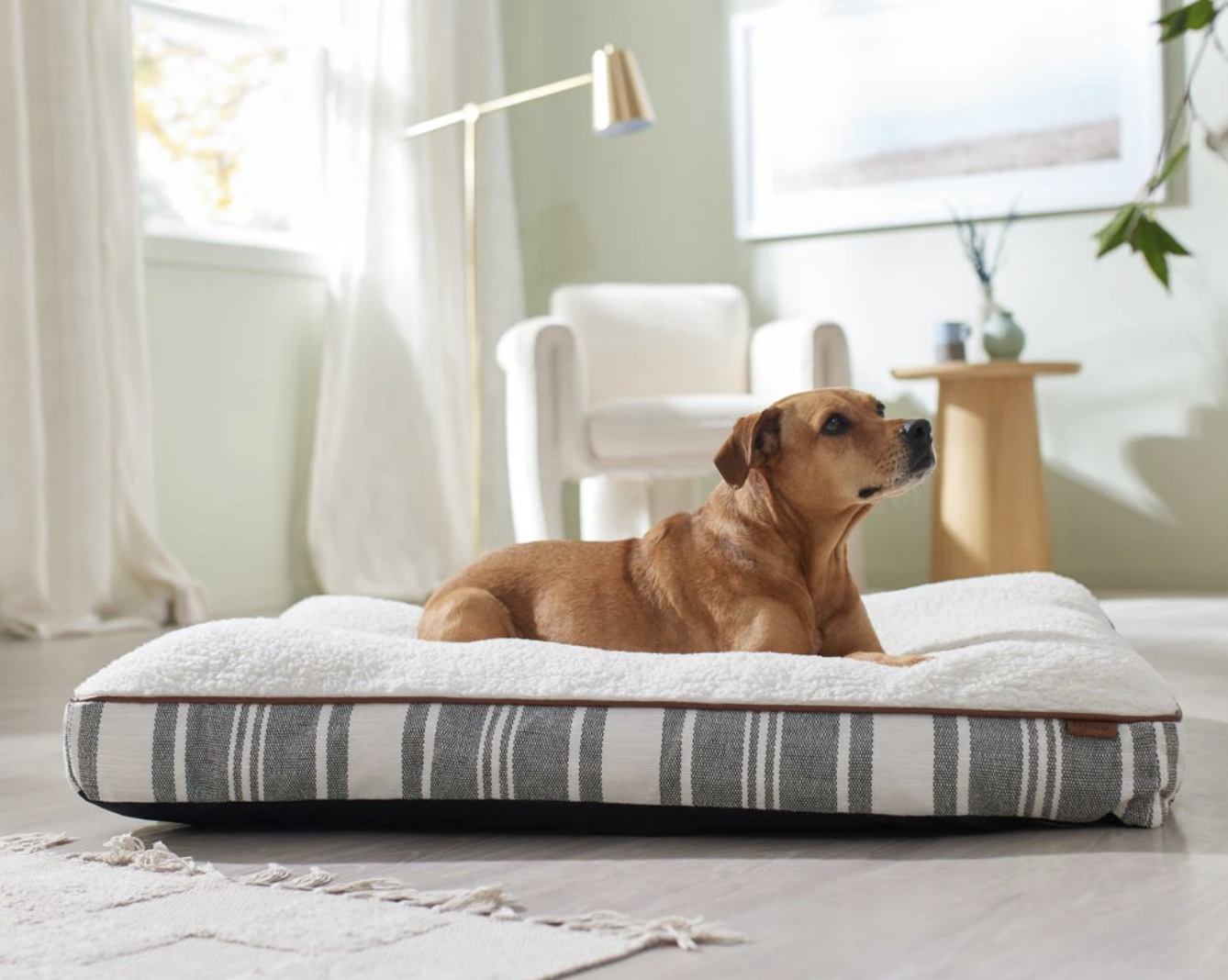 Screen Shot 2023-09-08 at 1.37.50 PM.png