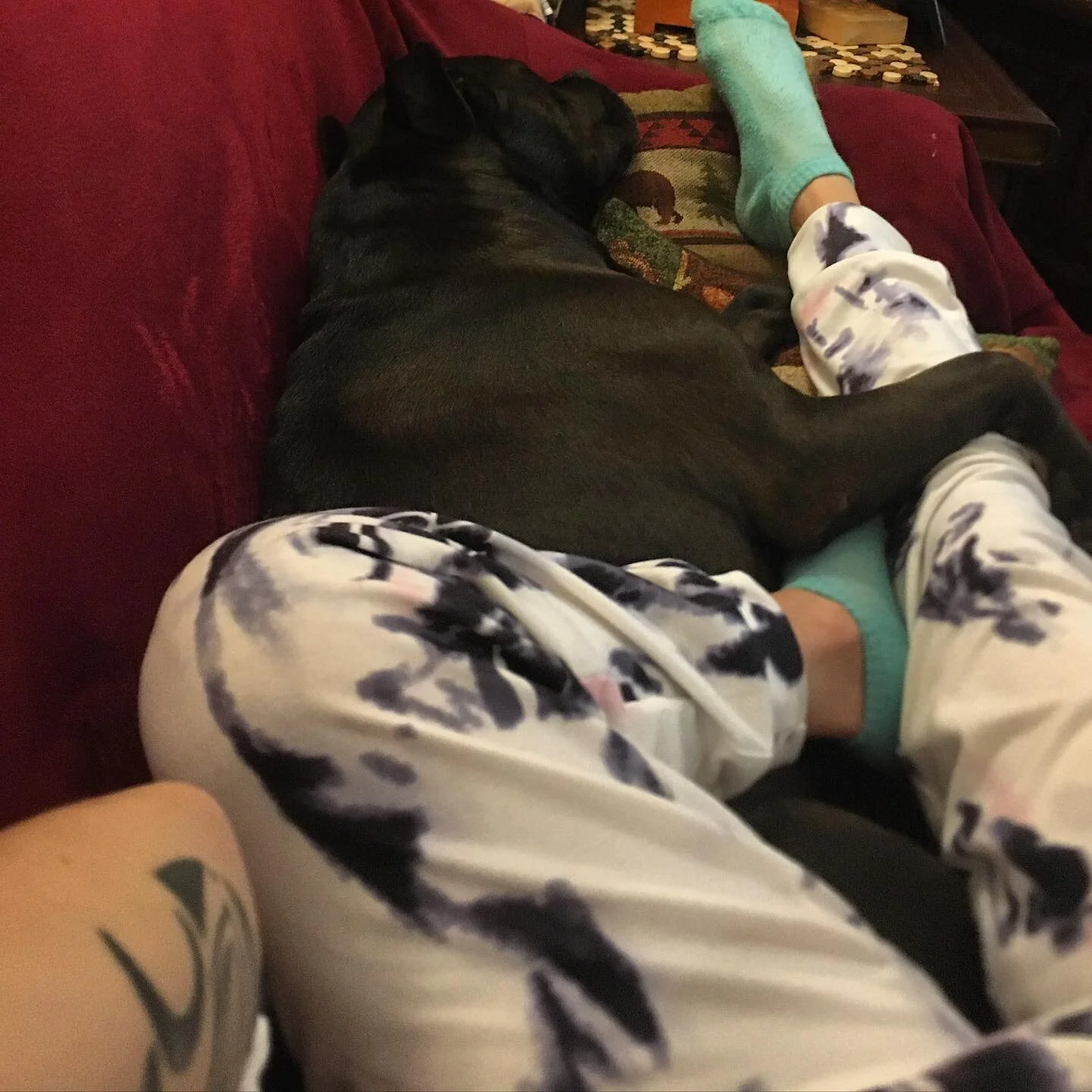the sleepiest summer day for Loki + Me 

🐾☀️💤