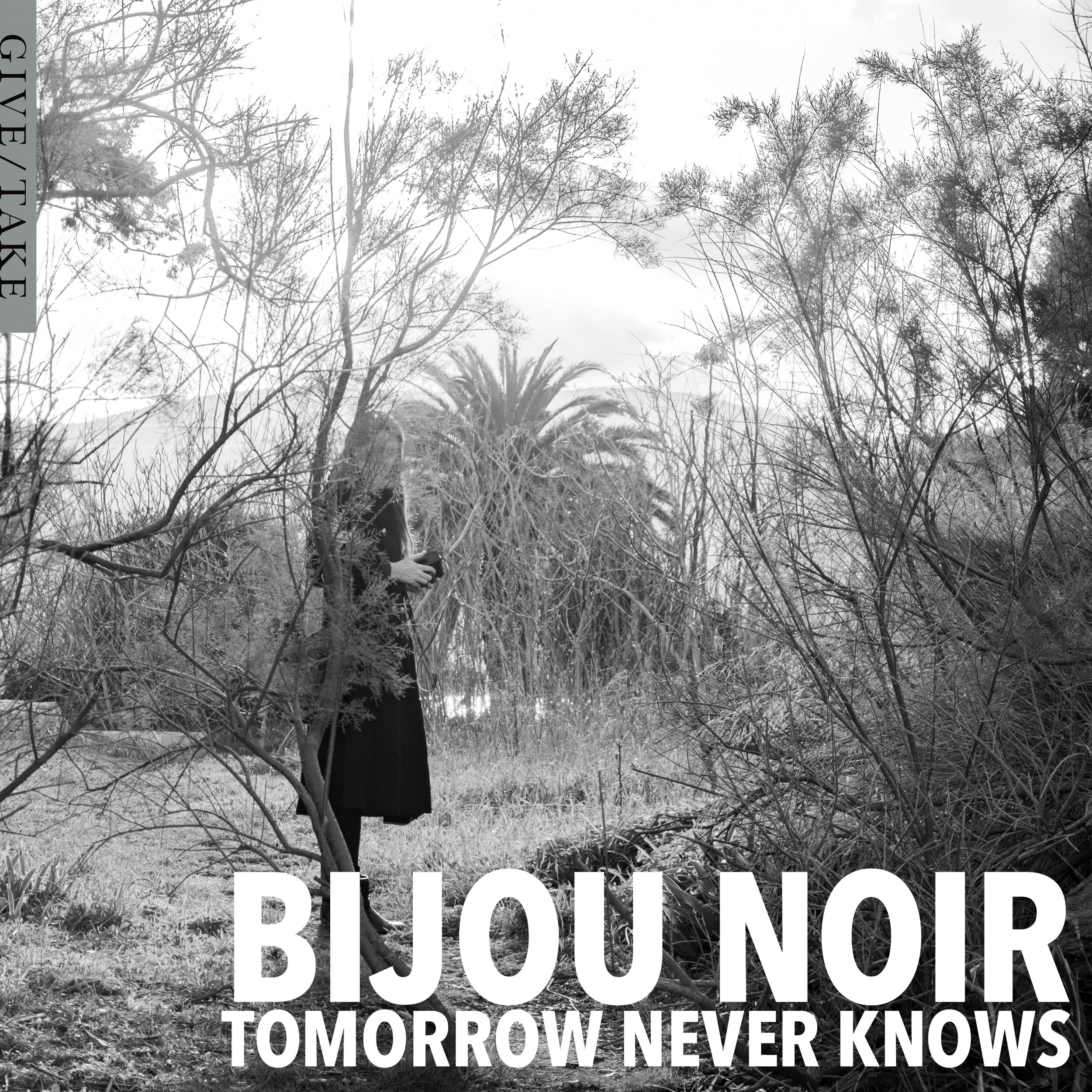 bijou_noir-tomorrow_never_knows.jpg