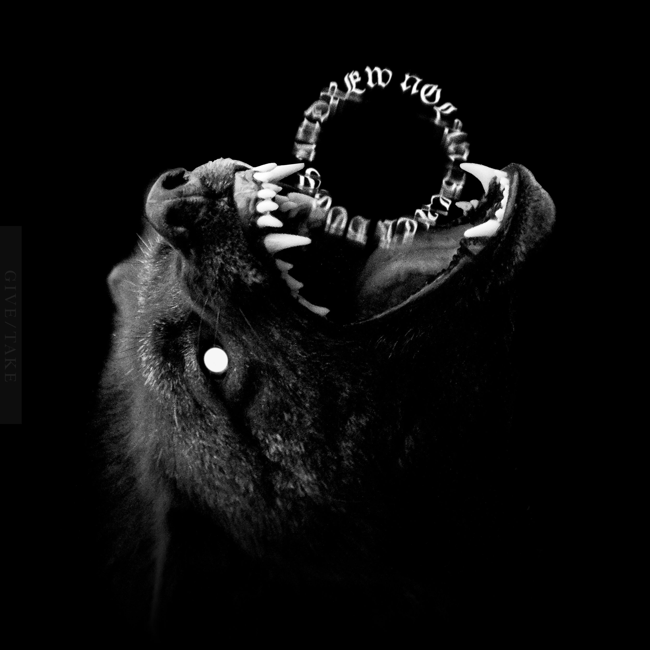 Andrew Nolan - Black Dogs (Digital)