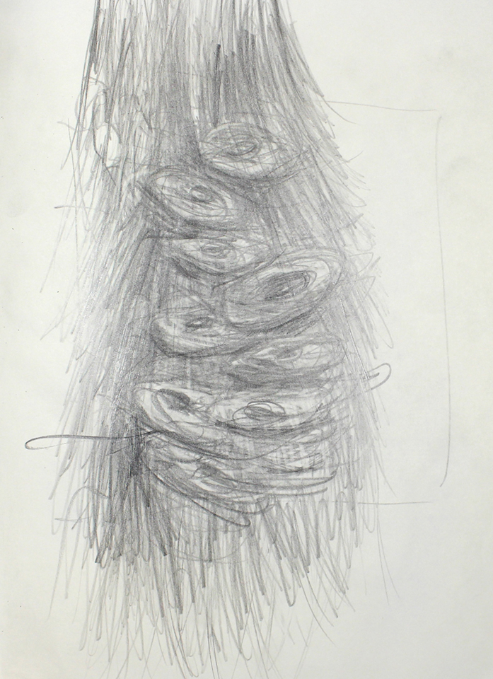 Trunk, 2017
