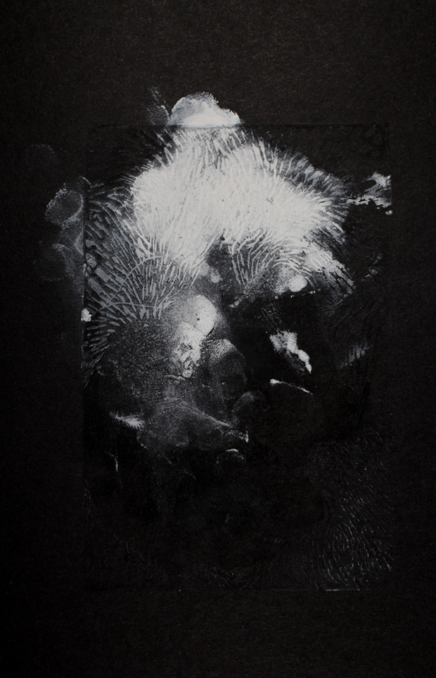 Fleeting 1, 2017