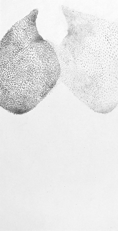 Twins, 2016