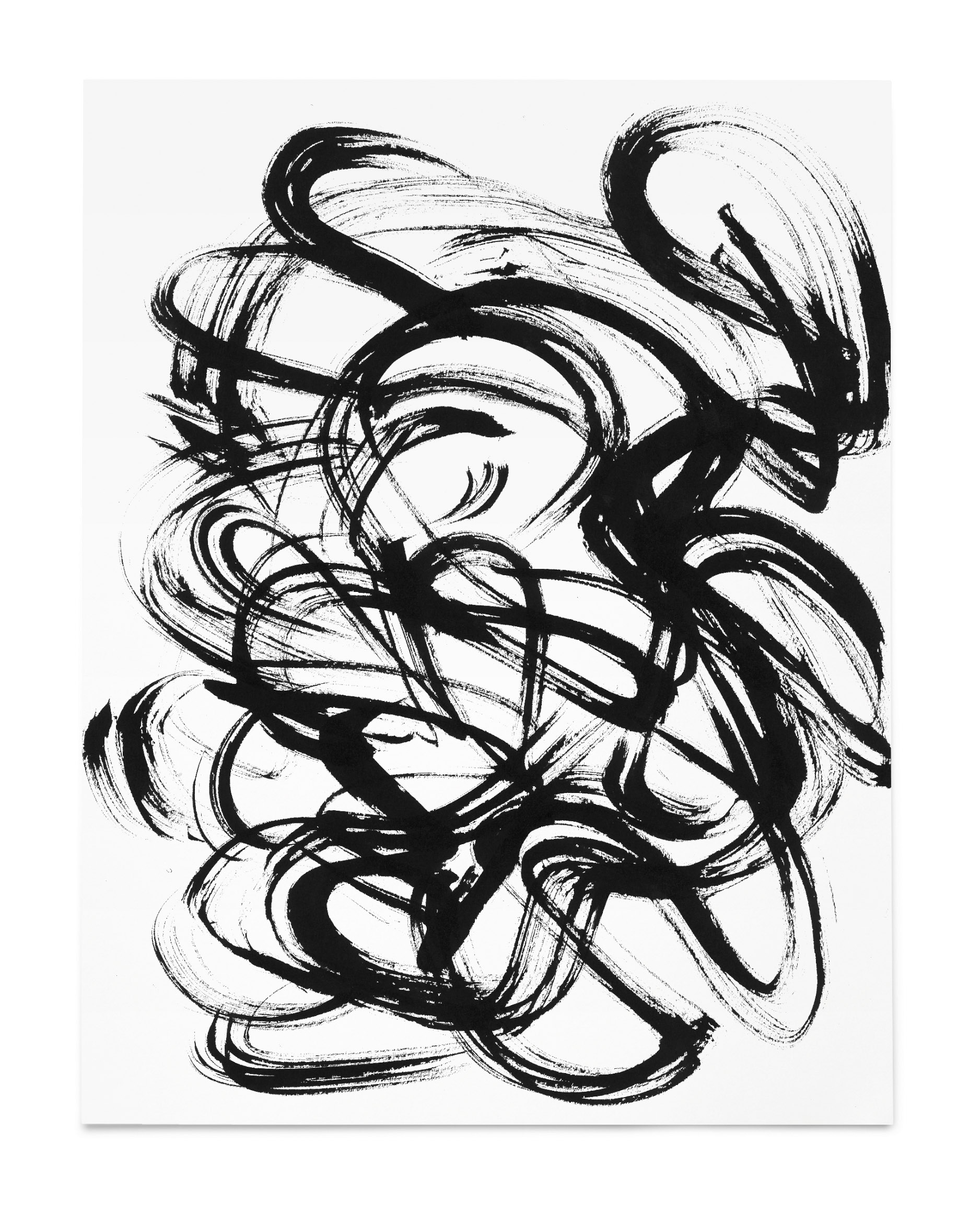  11”x13.5” Ink on Paper 2018 