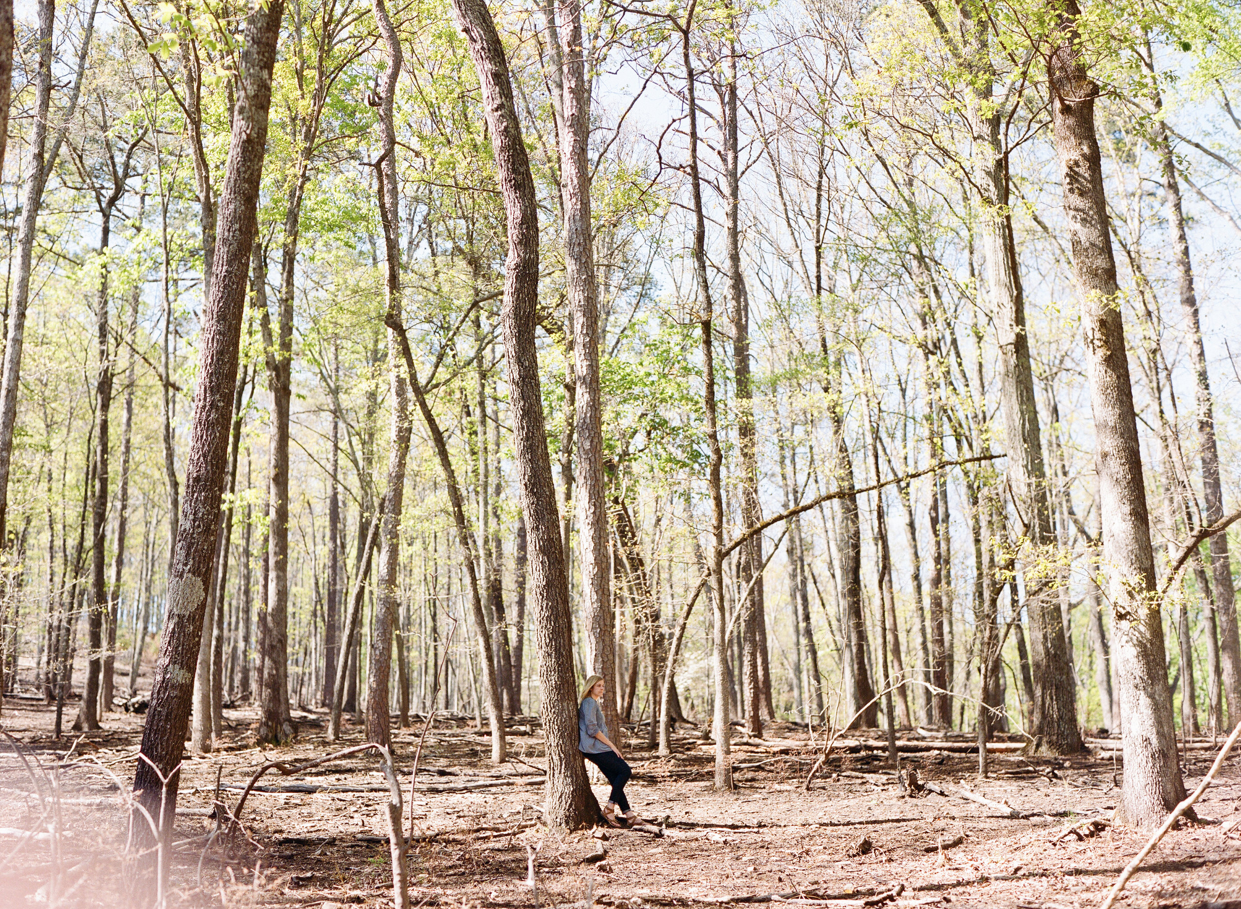 PURSUIT-woods look away.jpg