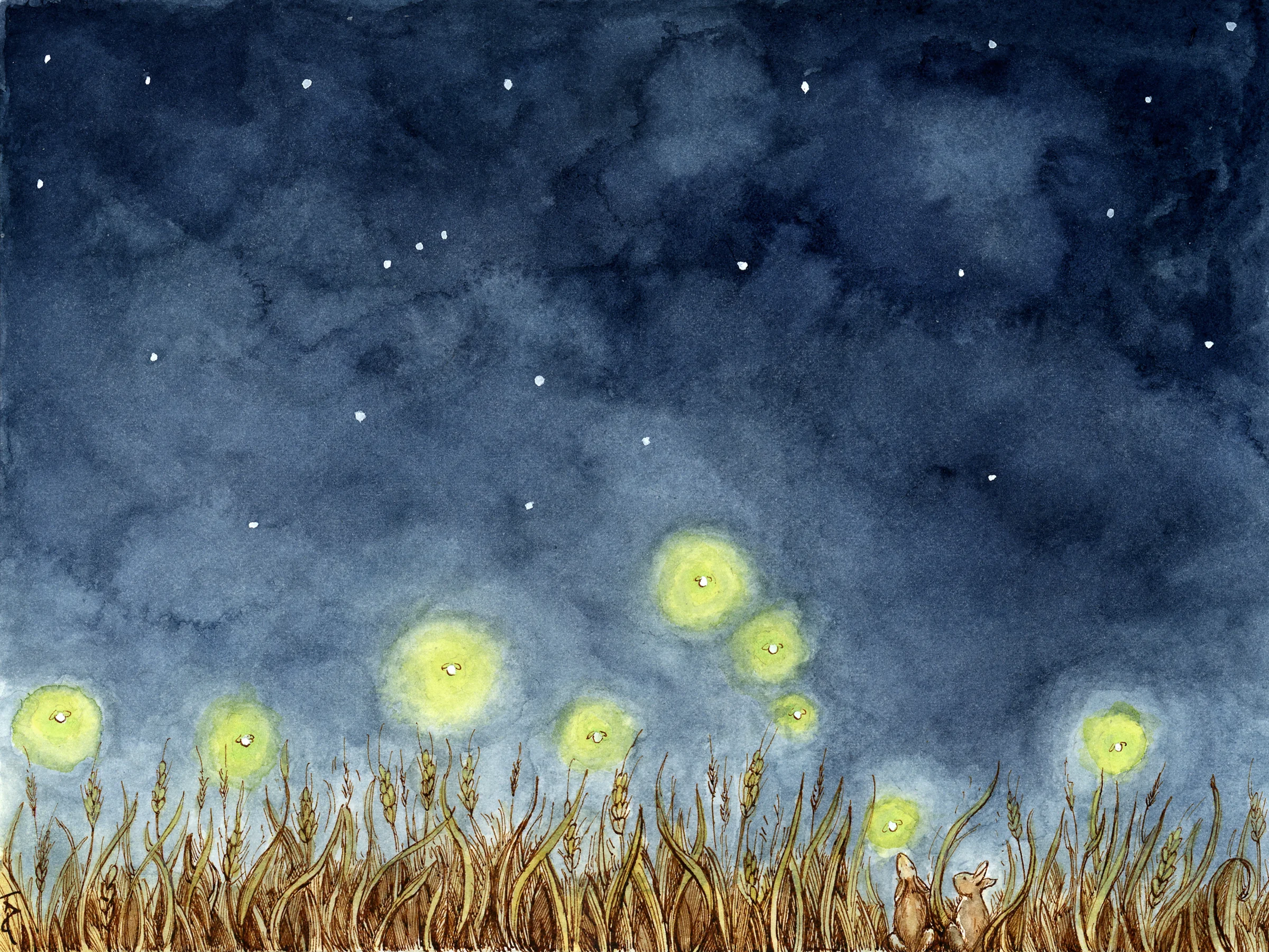 Contemplation of Fireflies