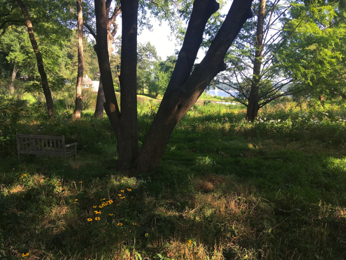 new-york-school-of-the-arts-event-meadowwalk-art-show.png