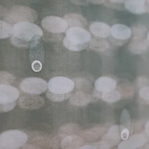 image3.jpeg