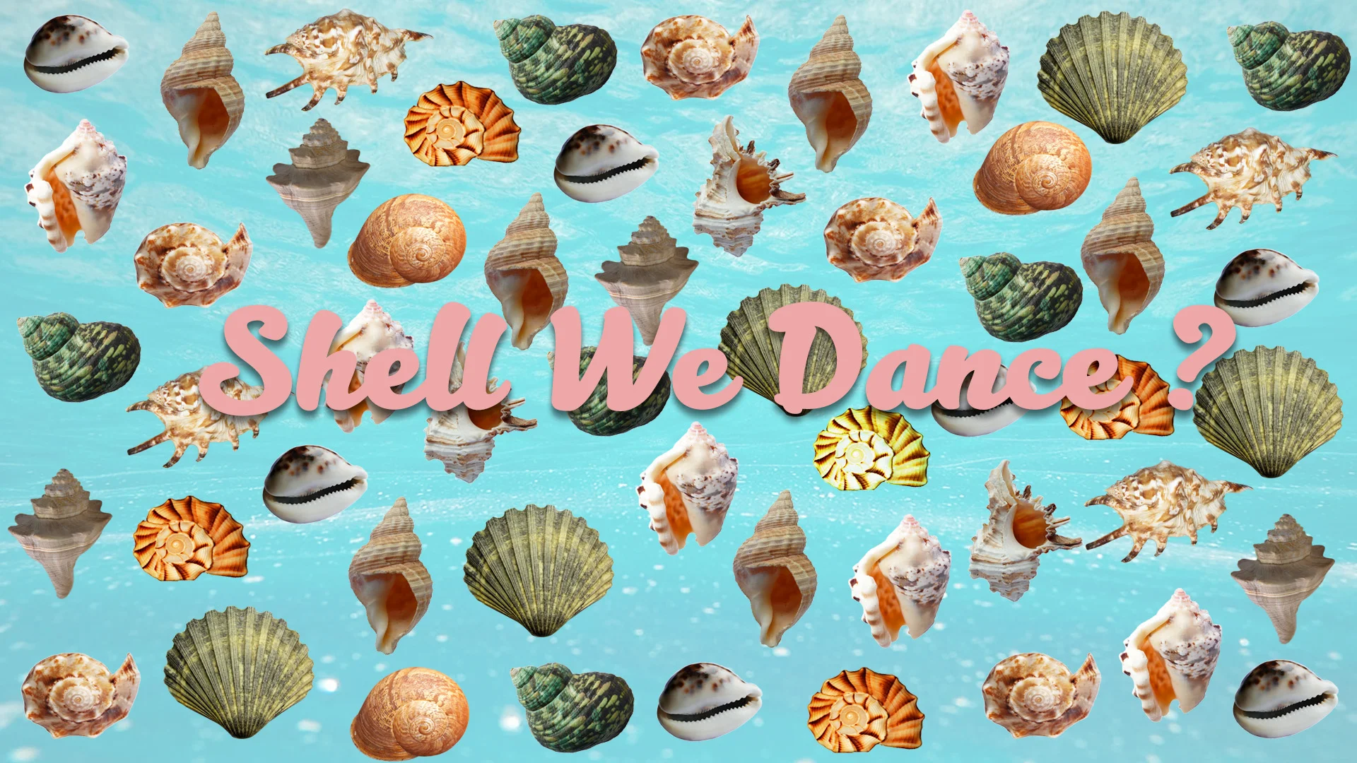 Shell We Dance7.jpg