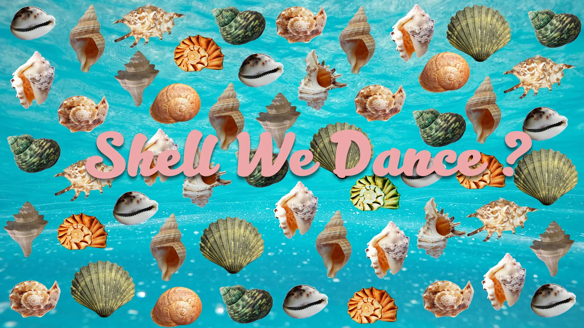 Shell We Dance9.jpg