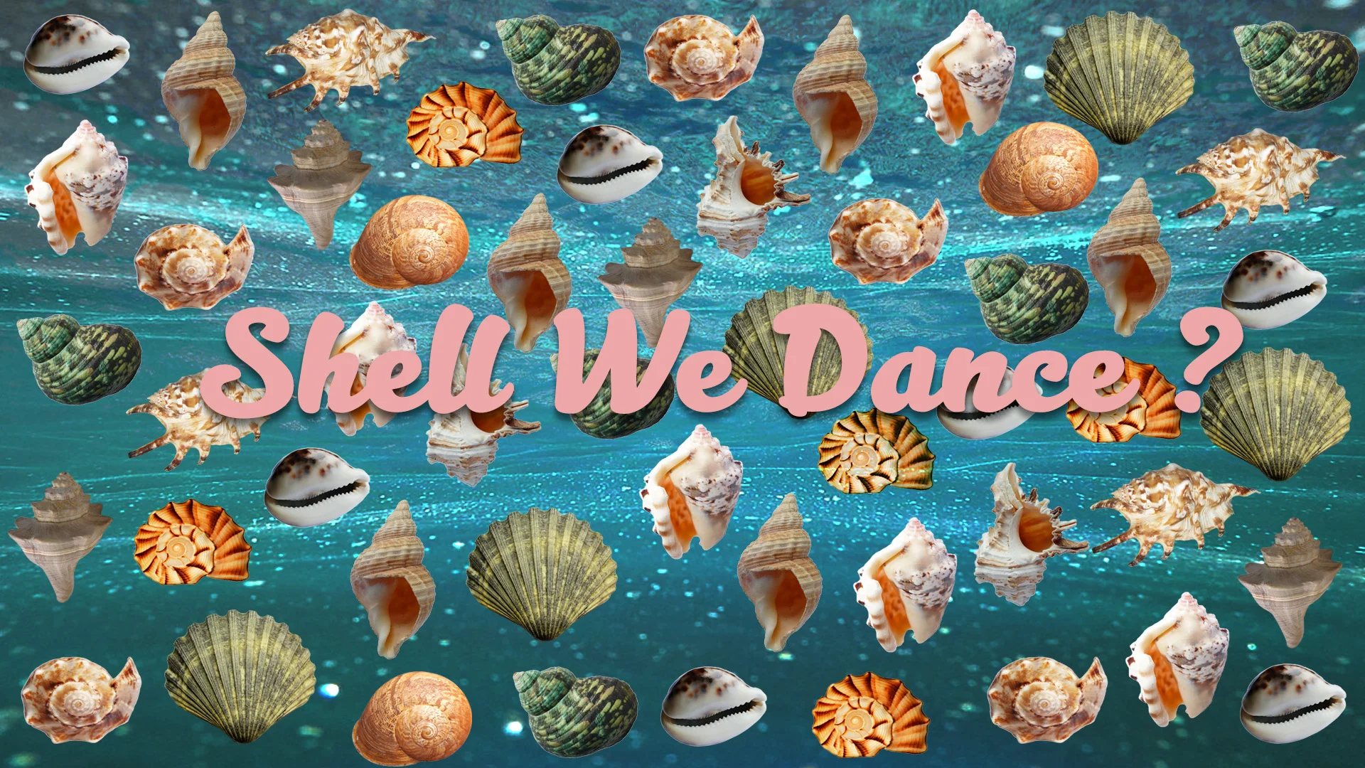 Shell We Dance19.jpg