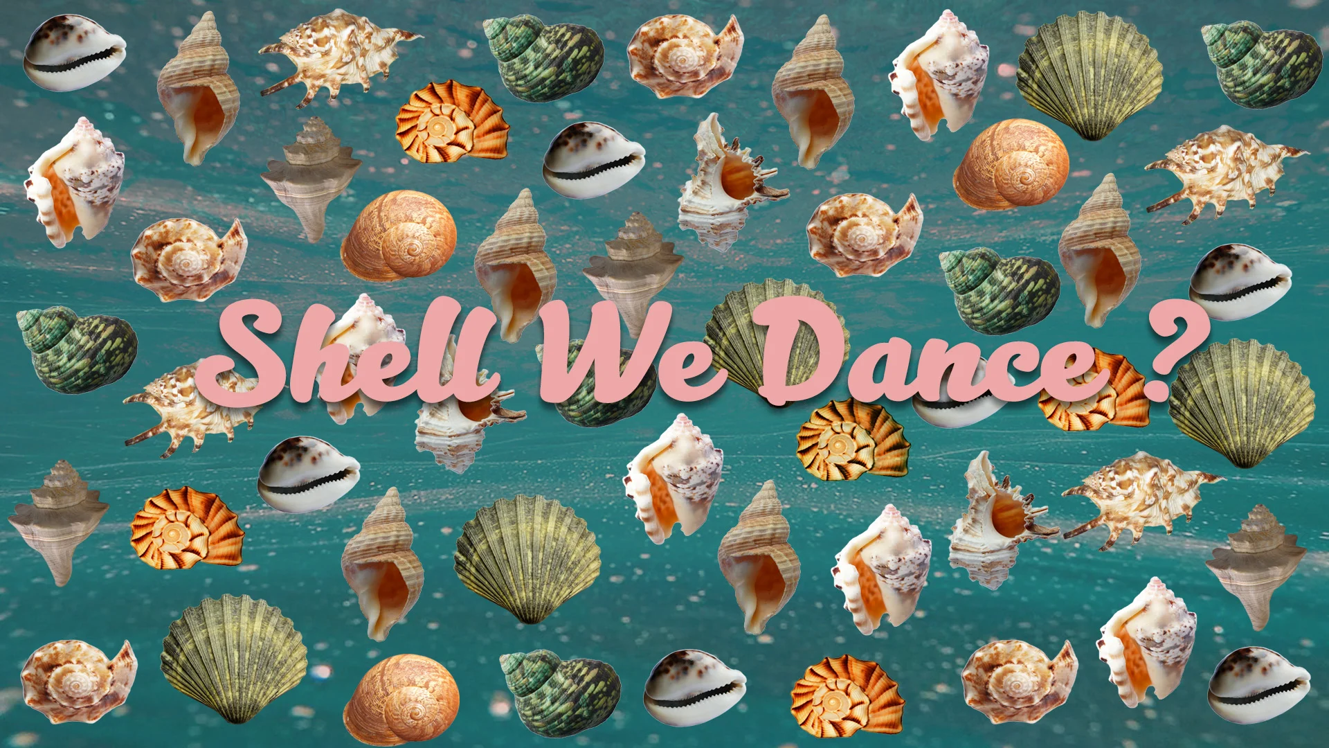 Shell We Dance22.jpg