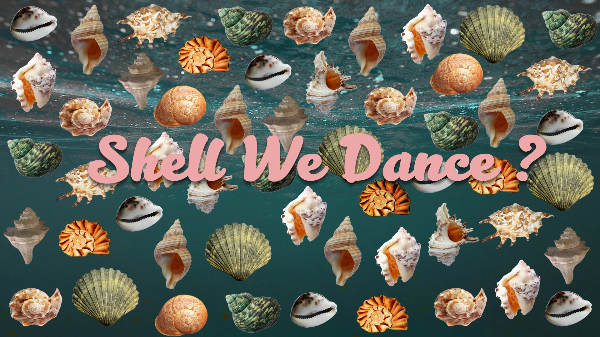 Shell We Dance24.jpg