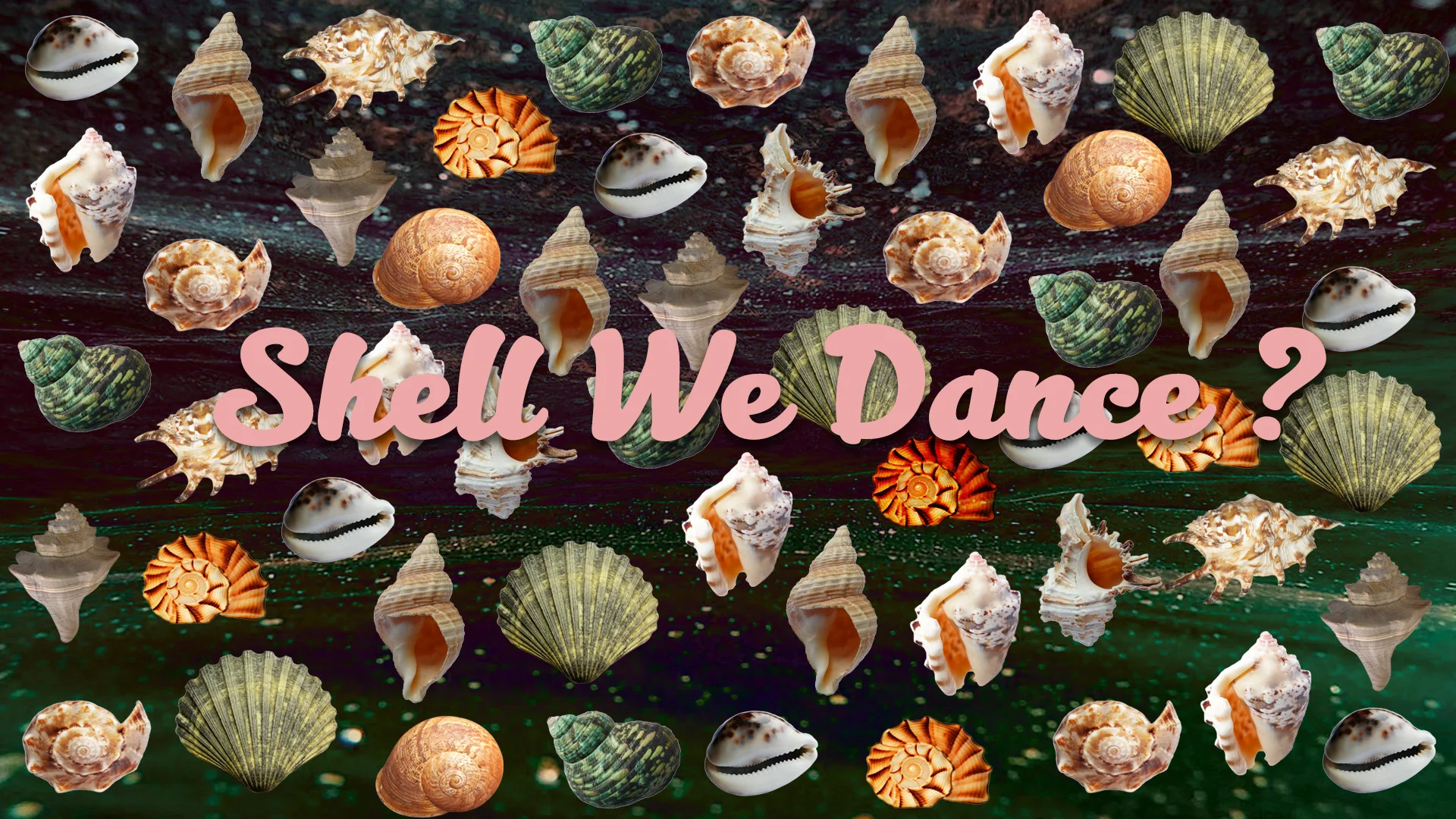Shell We Dance26.jpg