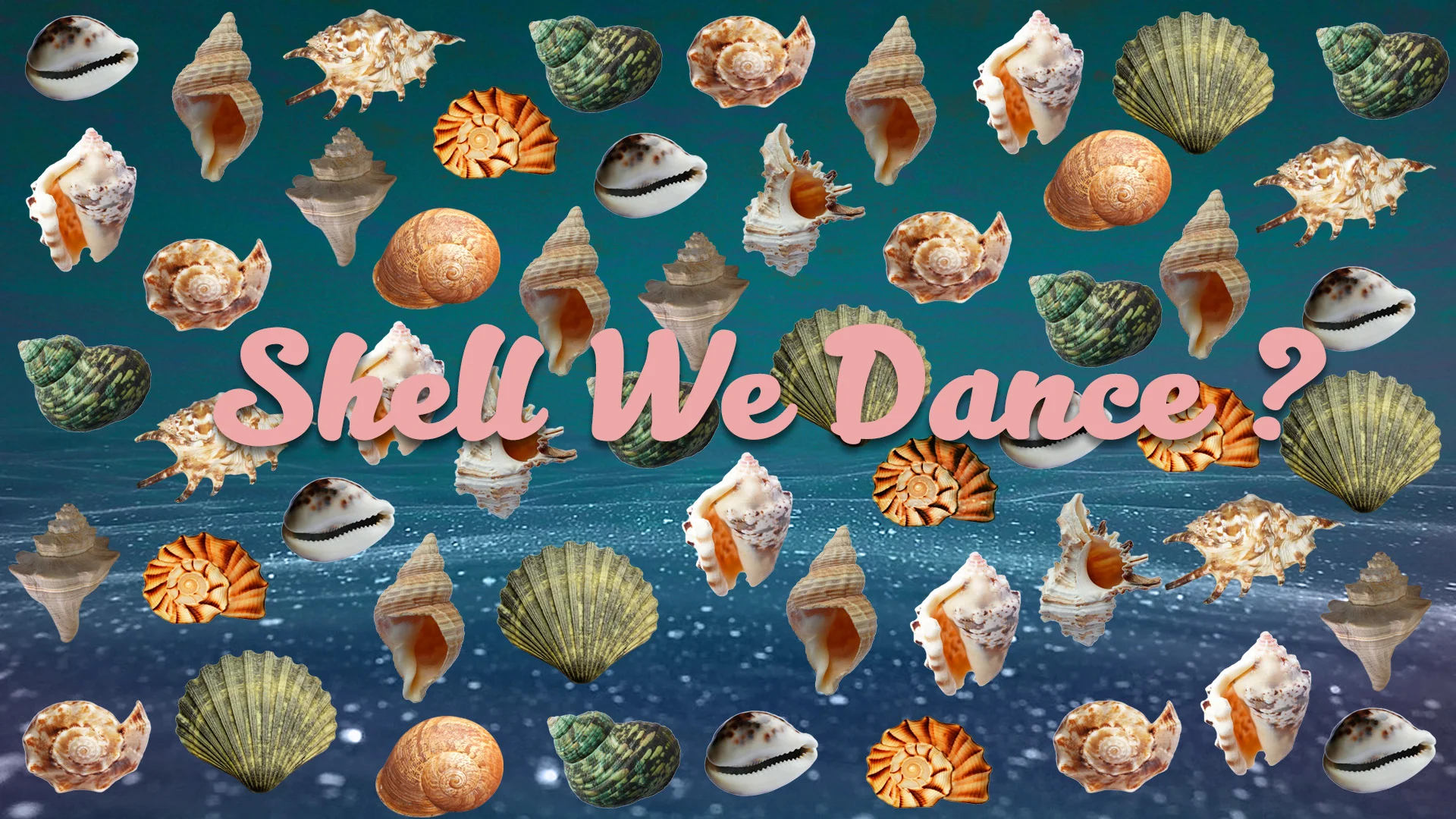 Shell We Dance28.jpg