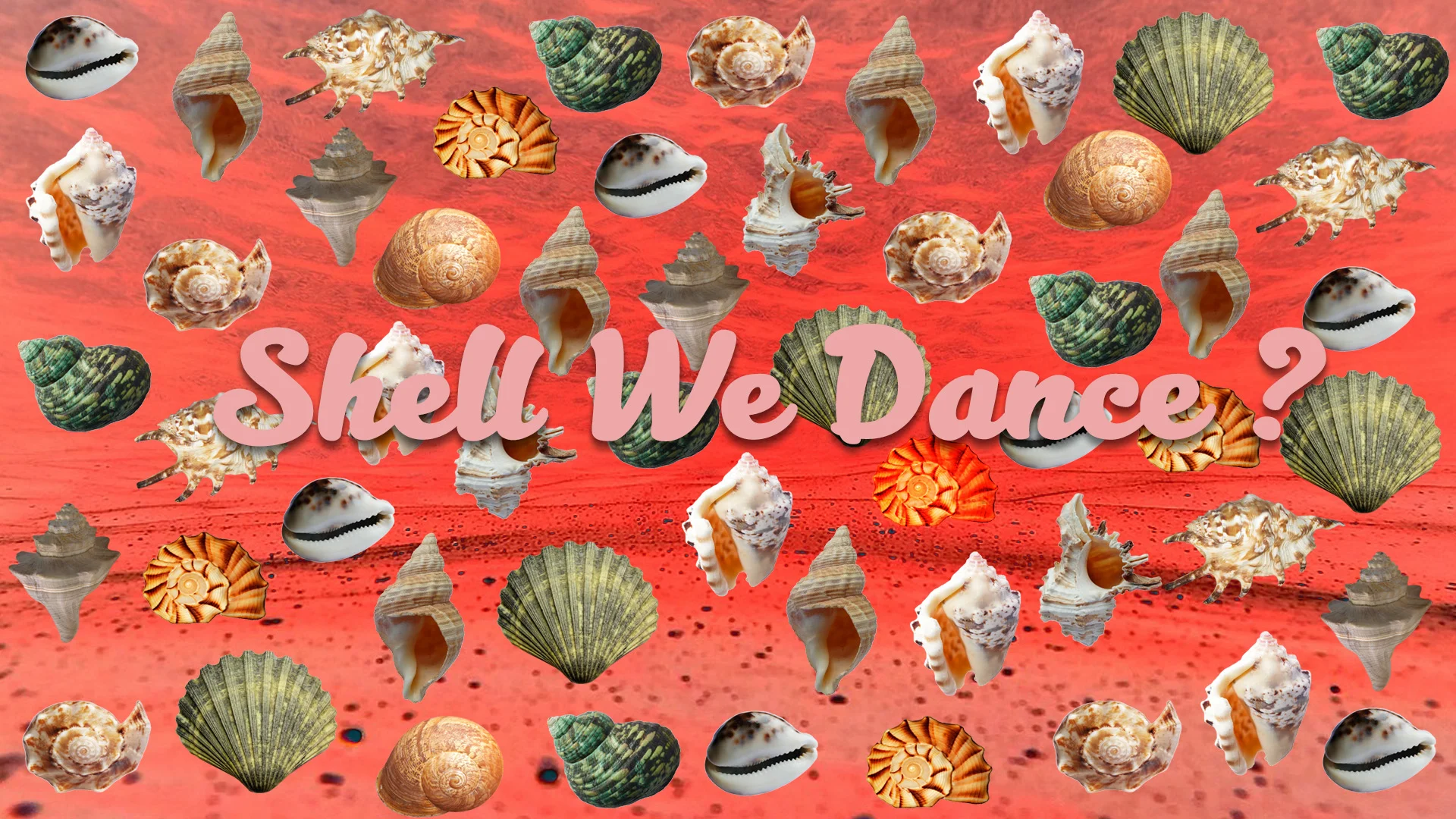 Shell We Dance36.jpg