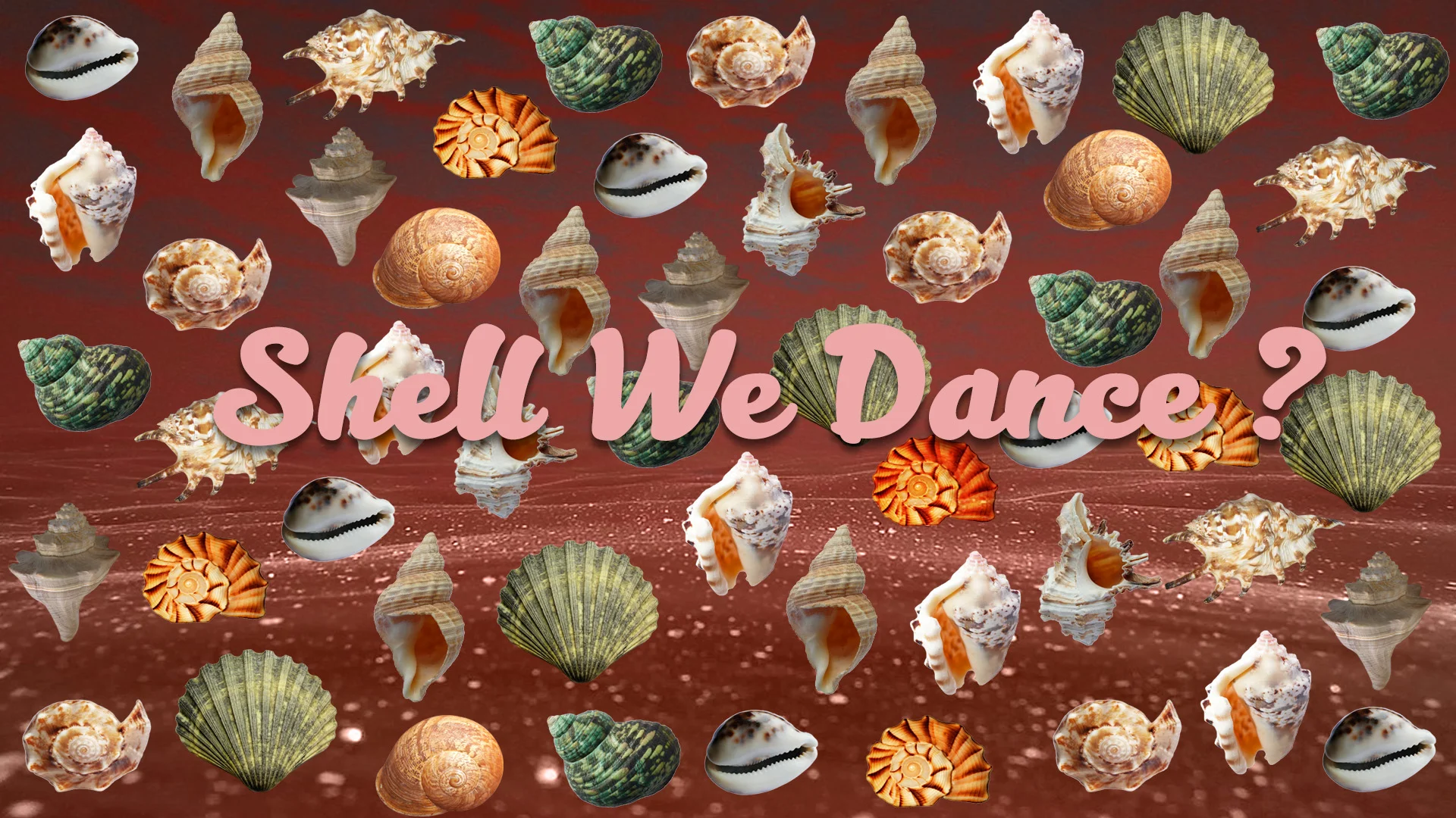 Shell We Dance37.jpg