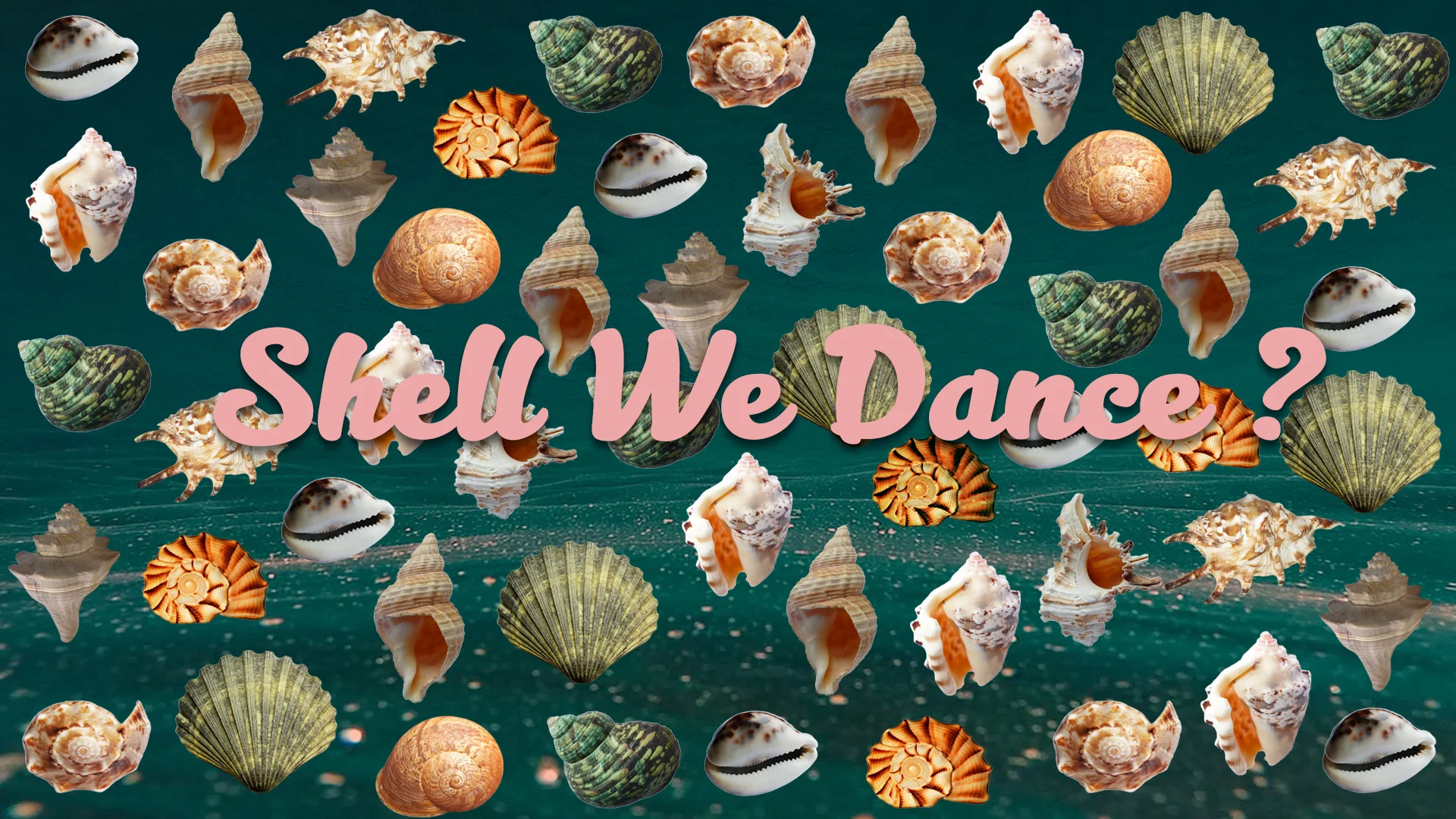 Shell We Dance38.jpg