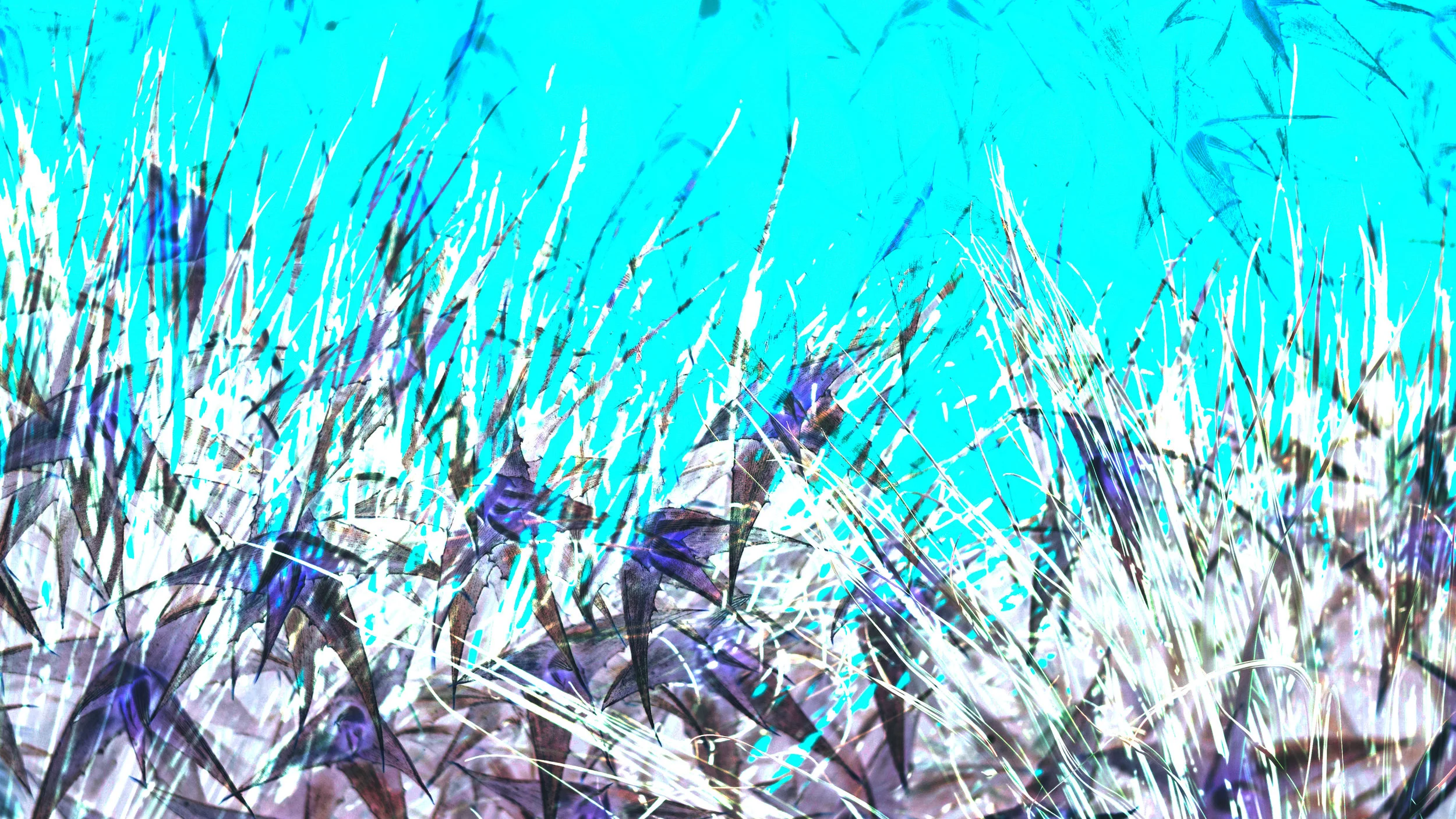 LeafMeBe_1.jpg