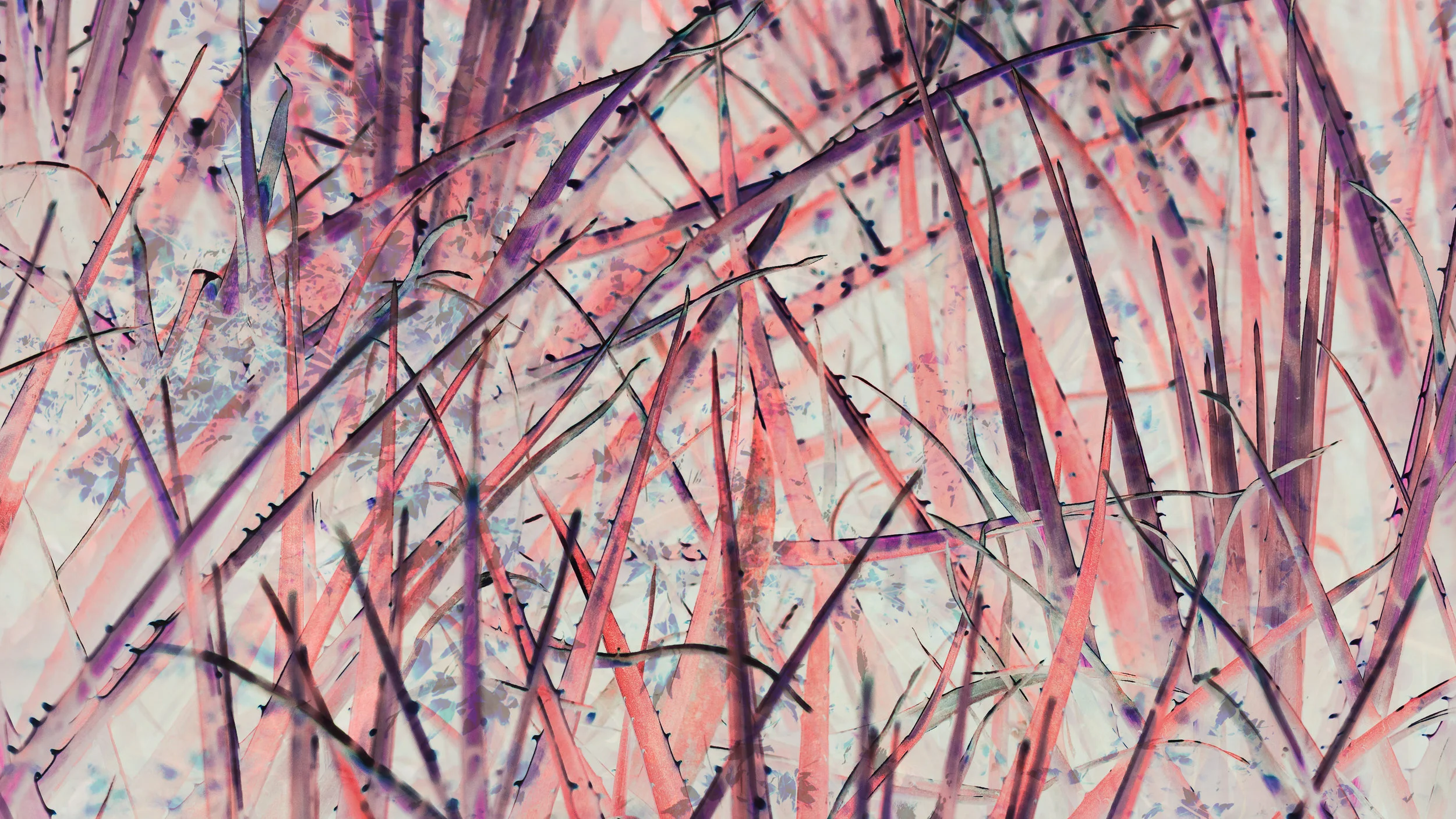 LeafMeBe_12small.jpg