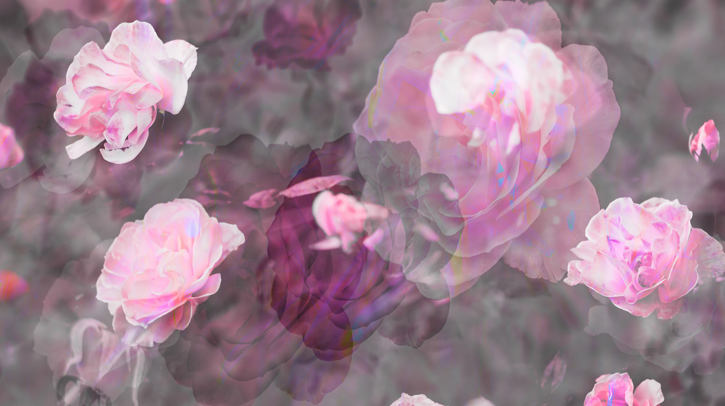 LeafMeBe_17small.png