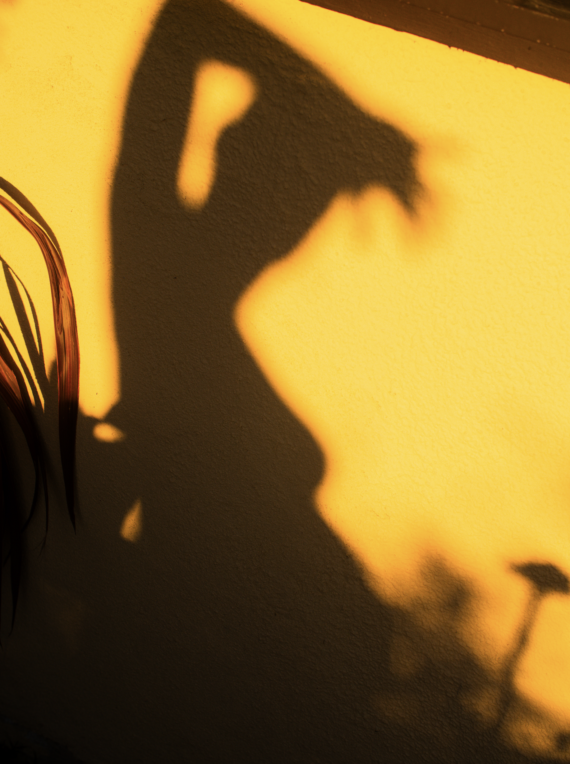 Screenshot 2026-04-20 at 4.49.52 PM.png