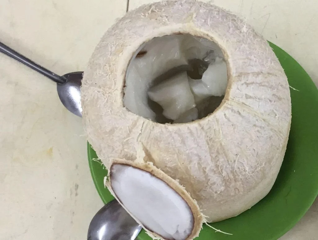 Coconut Jelly.jpg