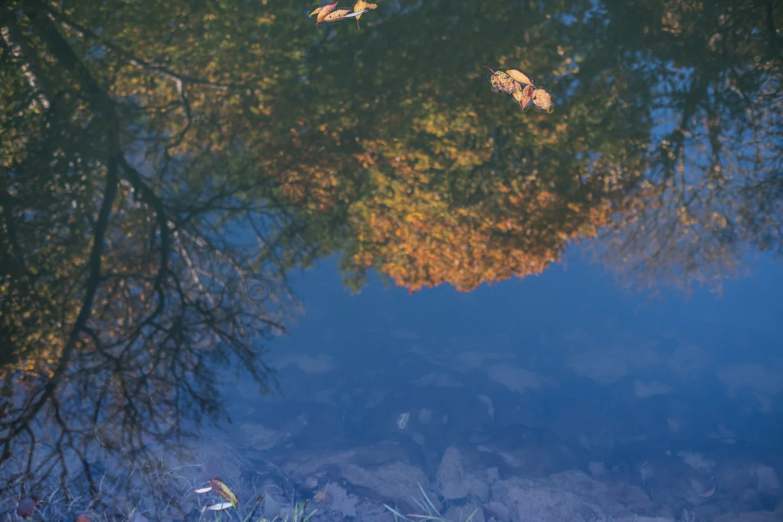 herbst-13.jpg