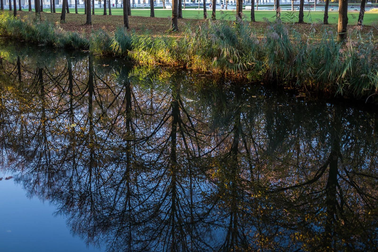herbst-34.jpg