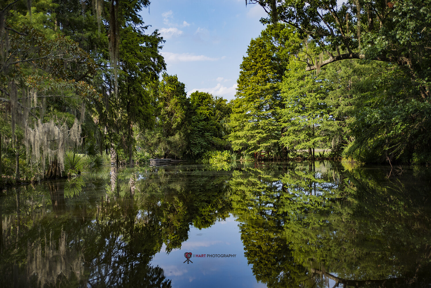 DSC_0056.jpg
