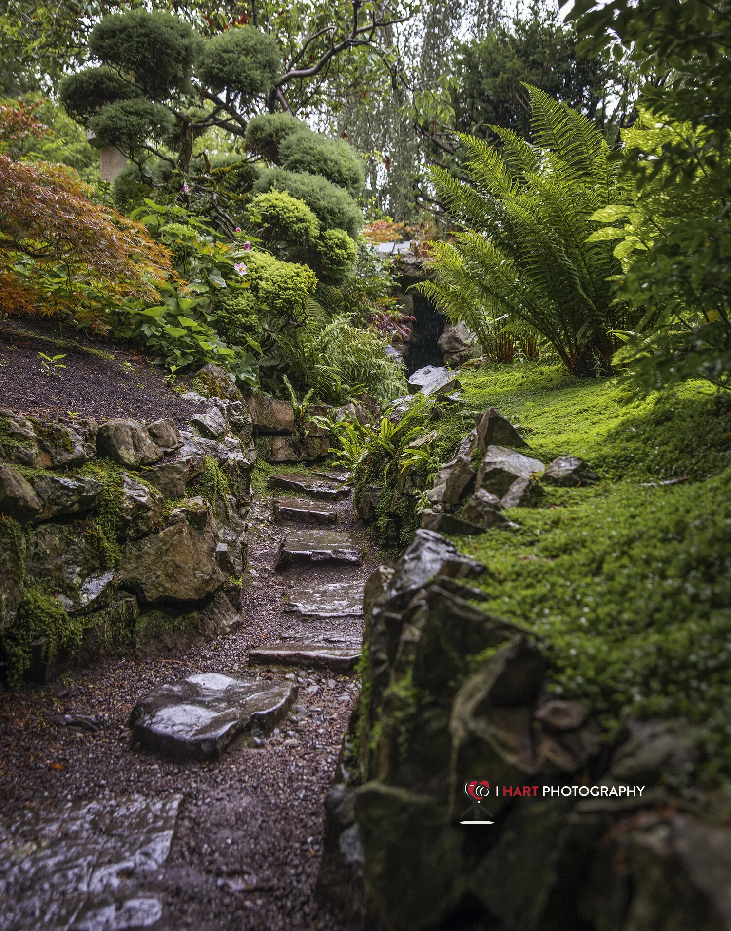 Path through Nature