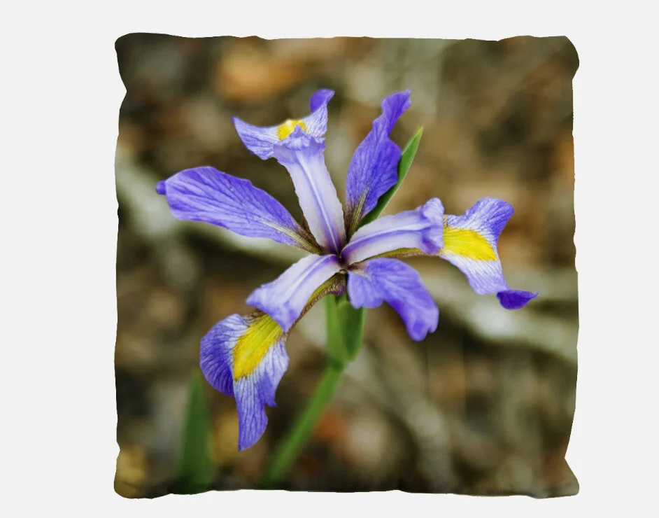 Blue Flag Iris Pillow Case