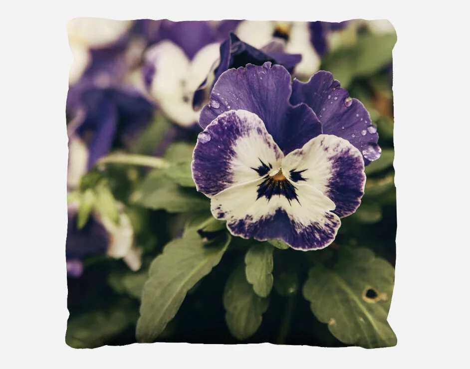 Purple Pansy Flower Pillow Case