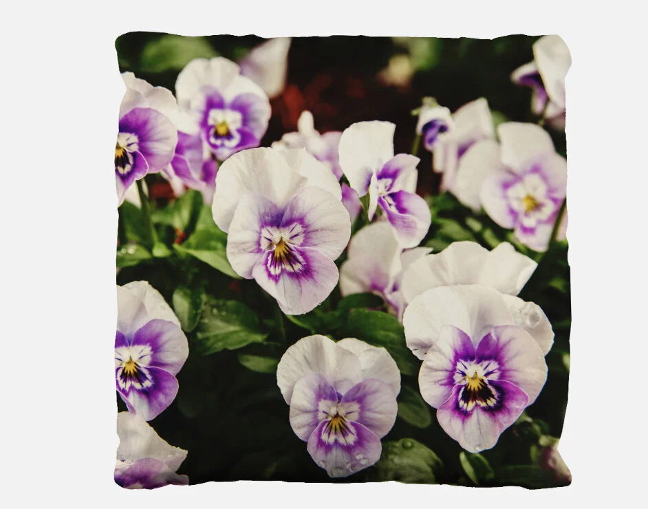 White and Purple Pansy Pillow Case