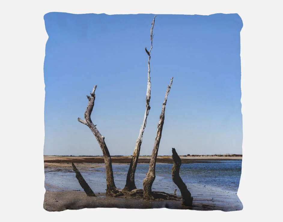 Beach Crown pillow.jpg
